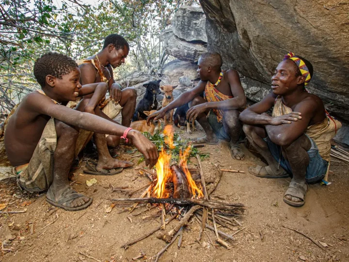 7 Day Tanzania Wilderness Safari – photo 3