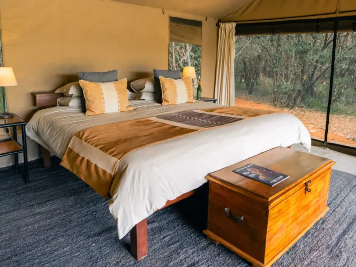 3 Days Kenya Luxury Safari – photo 3