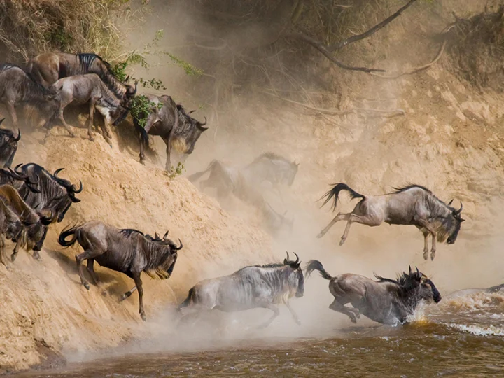 8 Days Kenya Luxury Safari – photo 6