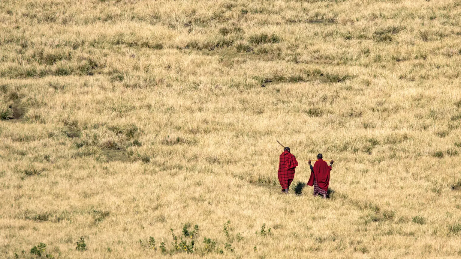 3 Days Authentic Tanzania Safari – photo 4