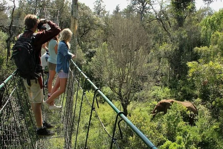 11 Days Kenya Luxury Safari – photo 5