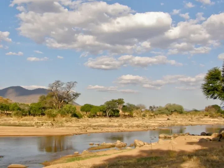 Ruaha National Park – photo 2