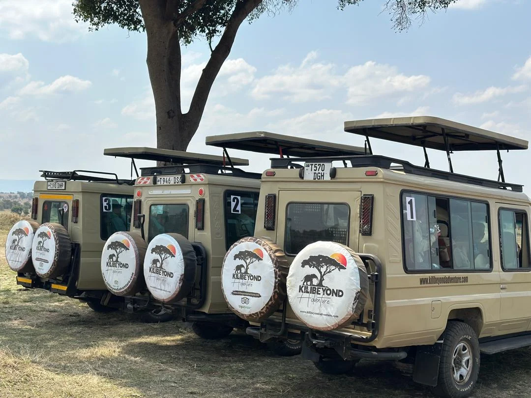 Your Safari, Your Way