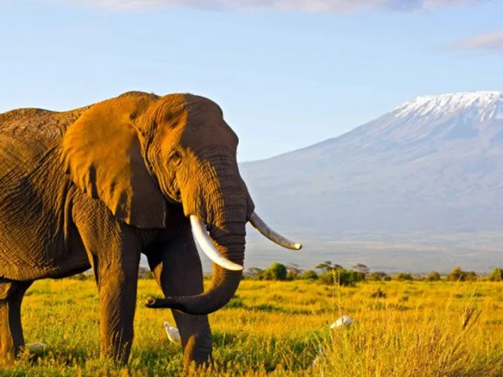 11 Days Kenya Luxury Safari – photo 2