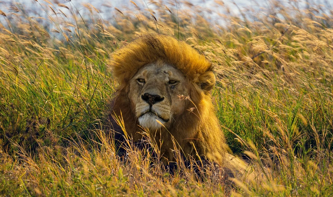 Experience Tanzania Beyond the Ordinary