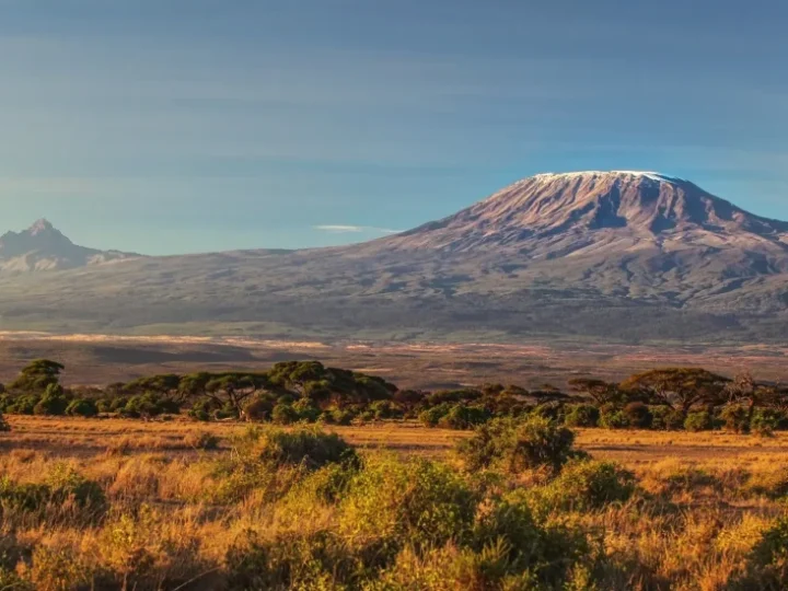 8 Days Mt. Kilimanjaro Climbing Summit – Machame Route – photo 5