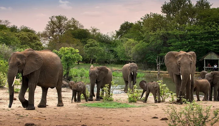 3 Days Adventure Kruger Tented Safari – photo 4