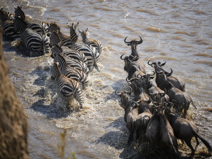 5 Days Kenya Express Safari – photo 2
