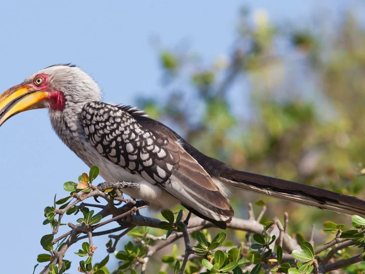 Mikumi National Park – photo 5