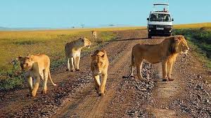 5 Days Special Murchison Falls National Park – photo 3