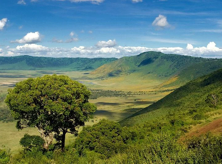 14 Days Ultimate Tanzania Safari – photo 9