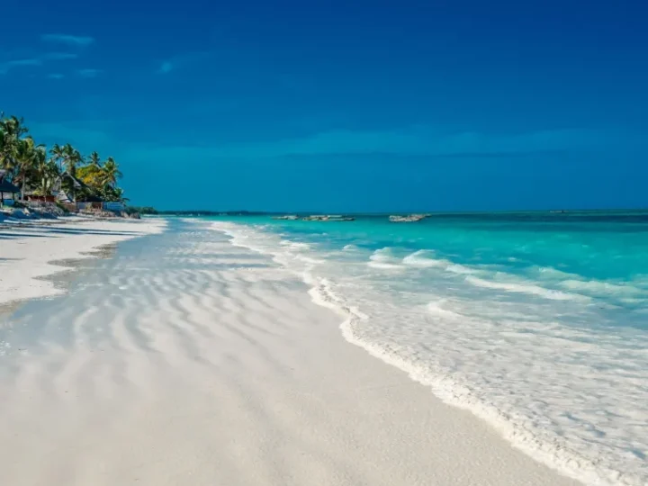 Pemba Island – photo 2