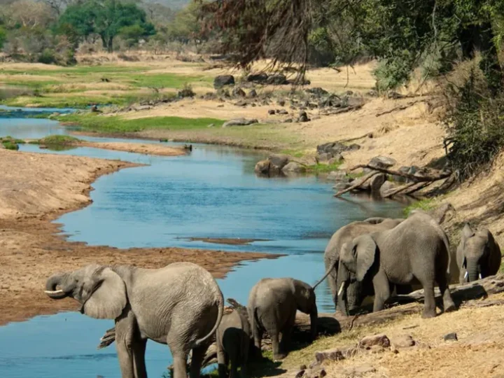 Ruaha National Park
