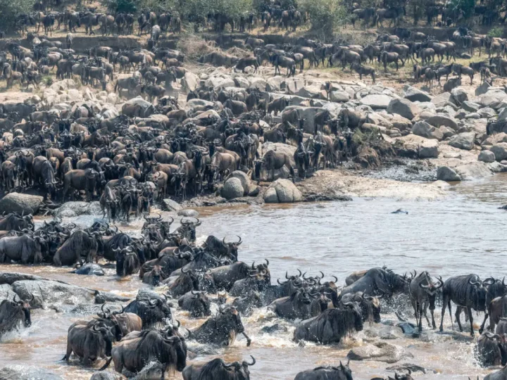 14 Days Ultimate Tanzania Safari – photo 7