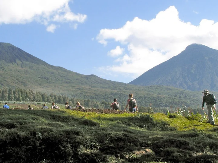 3 Days Volcanoes National Park Gorilla Trekking Safari – photo 5