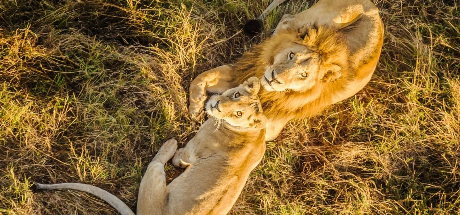 7 Days Magical Kenya Safari – photo 2