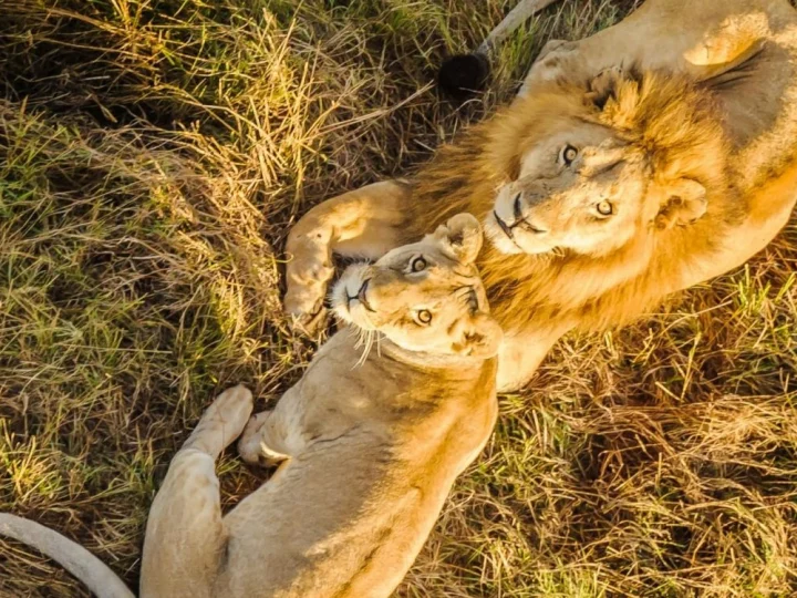 7 Days Magical Kenya Safari – photo 2