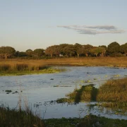 Sunset over the wetlands of Katavi National Park, Tanzania