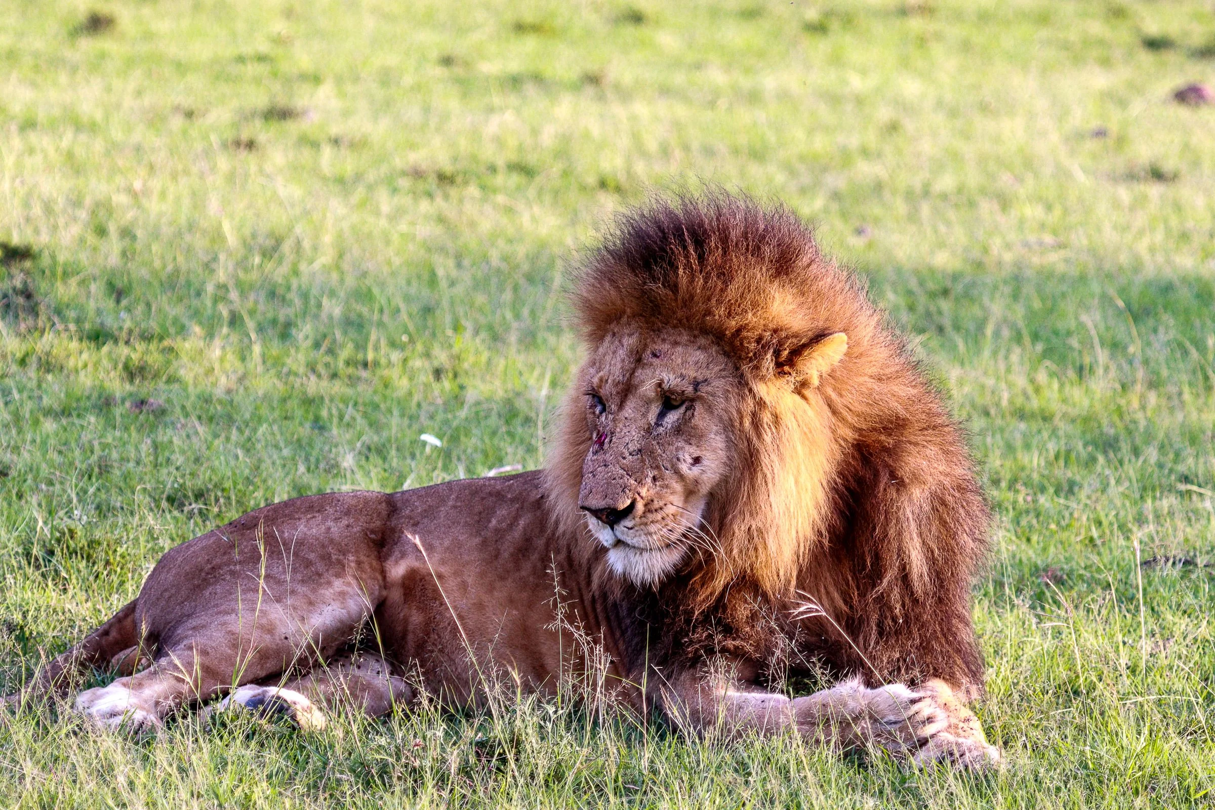 Experience Tanzania Beyond the Ordinary