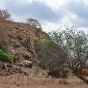 Rocky hills and bush country in Tsavo West National Park, Kenya
